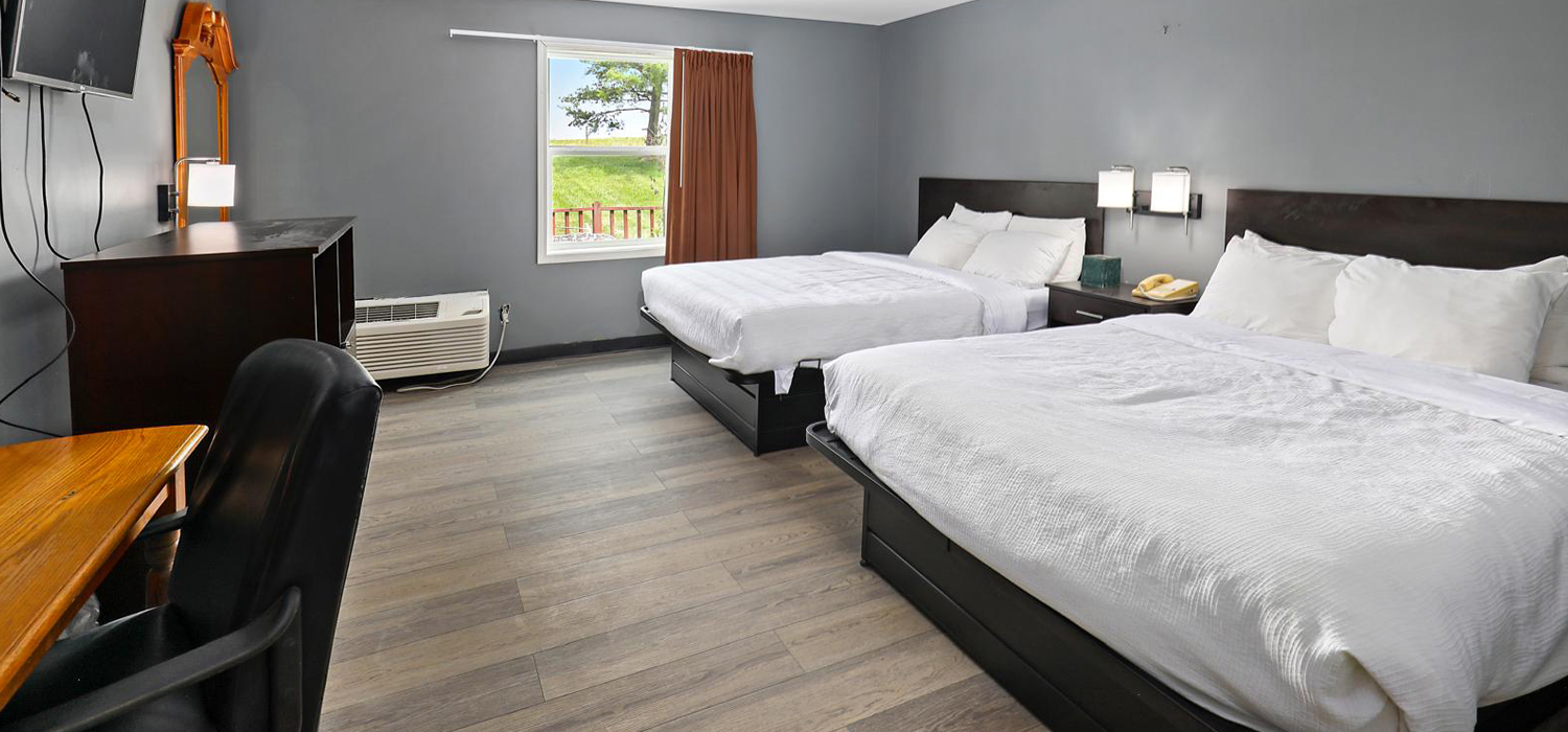 Spacious Guest Room